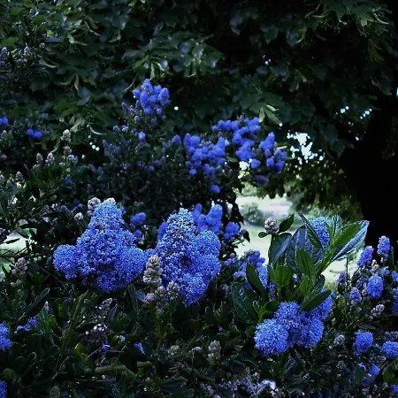 לינה וארוחת בוקר La Ferme Jarlan Berganty