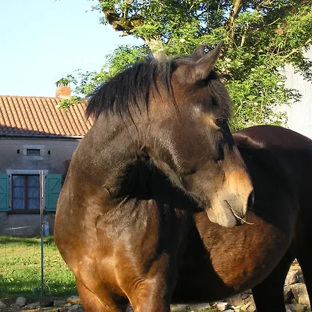 לינה וארוחת בוקר La Ferme Jarlan 3*